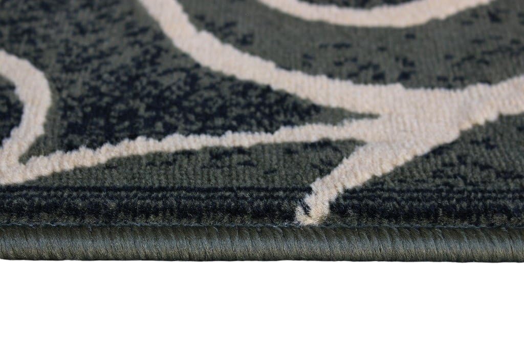 YHSF Modern Contemporary Area Rugs for Living Room, Bedroom, Office, Dining Room, Entryway – Washable, Easy to Clean, Soft Swirl Design, Modern Area Rug – 5x7 Feet, Berber