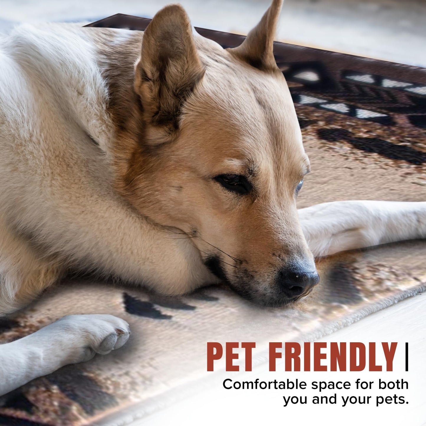 YHSF South West Native American Area Rug C318